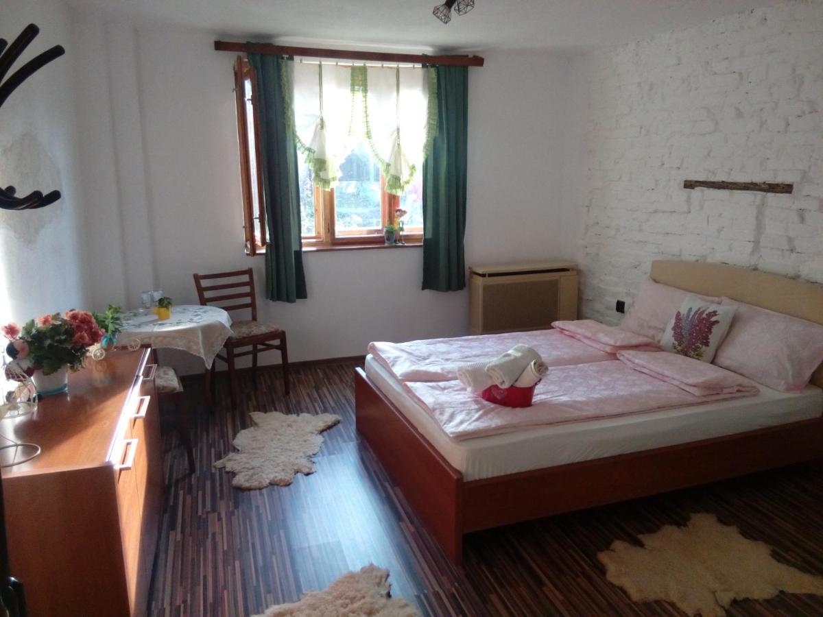 Grandpa'S Room Σιγκισοάρα Εξωτερικό φωτογραφία